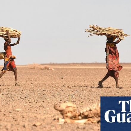 Human-driven climate crisis fuelling Horn of Africa drought – study