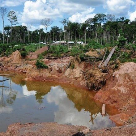 Florida professor predicts Amazon rainforest collapse by 2064