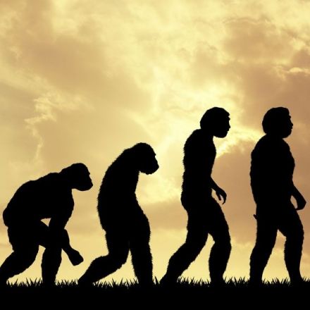 People who reject the theory of human evolution tend to have more bigoted attitudes