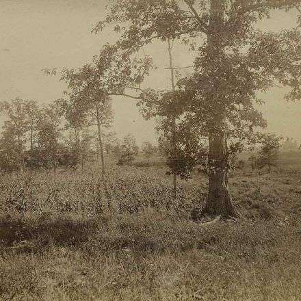 Antietam Time Travel: A Veteran of America’s Bloodiest Day Returns