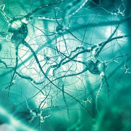 Brains With Alzheimer's Have More Bacteria Than Healthy Ones, Says New Study