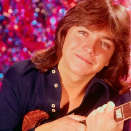 David Cassidy, '70s teen heartthrob, dies at age 67