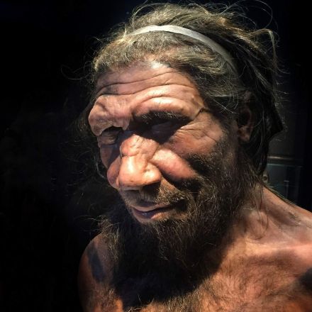 Early humans hooked up with other species a whole bunch