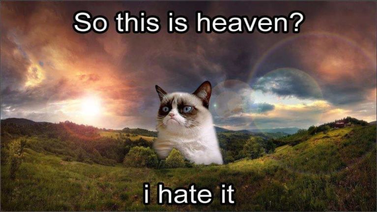 Good-bye Grumpy Cat. It was nice knowing you.