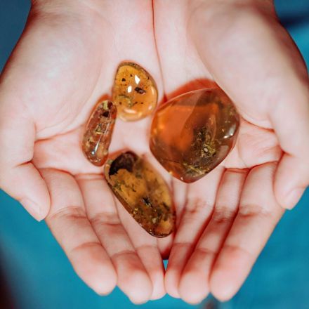 A surprise find: 99-million-year-old frog encased in amber