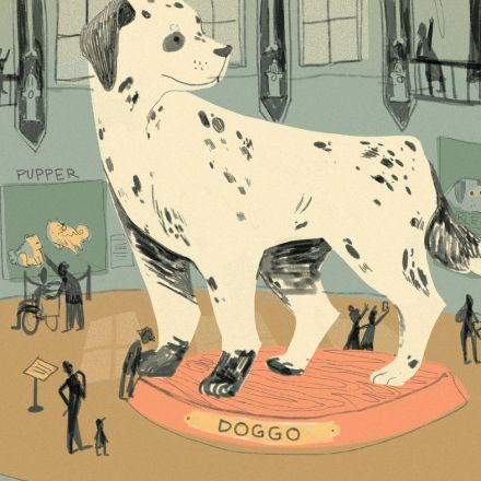 Dogs Are Doggos: An Internet Language Built Around Love For The Puppers