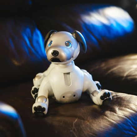 Aibo may be a good boi, but Sony's robot dog is toying with our emotions