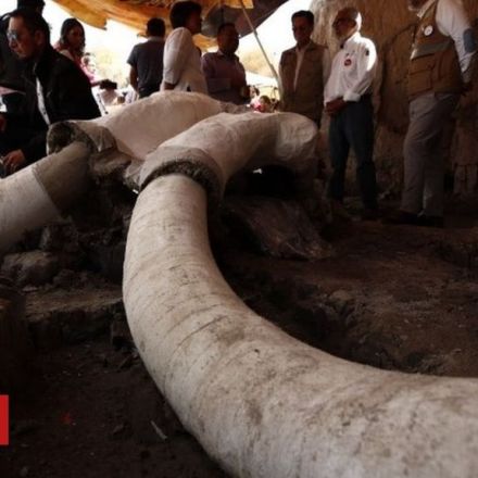 Mexico makes mammoth archaeological discovery