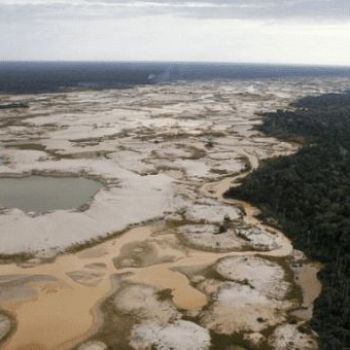Peruvian Amazon Loses Over a Million Hectares: Official