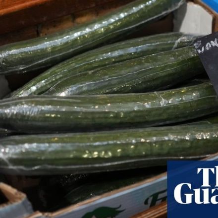 That’s a wrap: French plastic packaging ban for fruit and veg begins