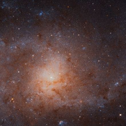 NASA Hubble telescope snaps bonkers view of Triangulum Galaxy