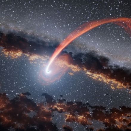 This is What it Looks Like When a Black Hole Snacks on a Star