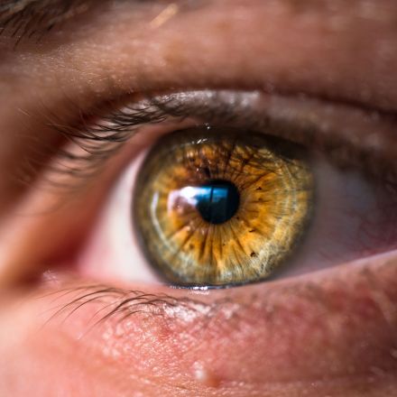 More than light detectors: the magic of your eyes' pupils