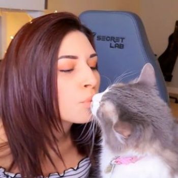 Twitch Creative Director Wants Alinity Banned For Animal Abuse