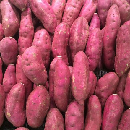 Why archaeologists are arguing about sweet potatoes