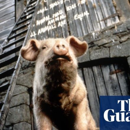 From Animal Farm to Catch-22: the most regrettable rejections in the history of publishing