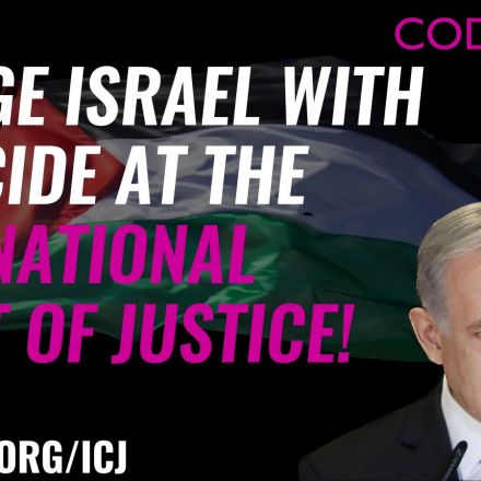 Charge Israel With Genocide at the International Court of Justice!