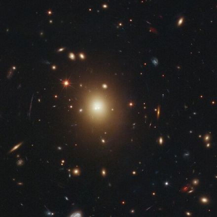 Missing: One Black Hole With 10 Billion Solar Masses