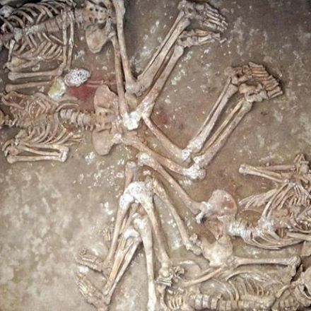 DNA reveals early mating between Asian herders and European farmers
