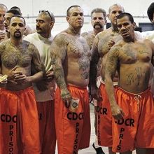 Why Prisoners Join Gangs Snapzu Com