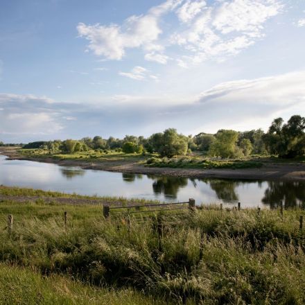 ‘This is what a river should look like’: Dutch rewilding project turns back the clock 500 years