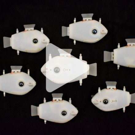 Swarms of robotic fish can synchronize their swimming, for the first time