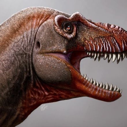 New 'reaper of death' tyrannosaur is the oldest found in Canada