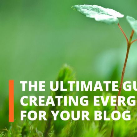 The Ultimate Guide To Creating Evergreen Content For Your Blog