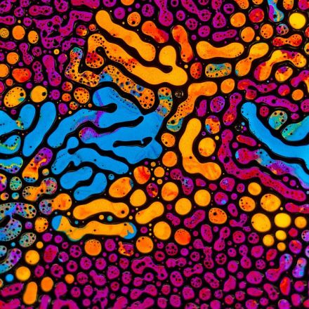 Vibrant Ferrofluid Images by Fabian Oefner