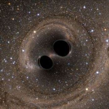Gravitational waves could shed light on the origin of black holes