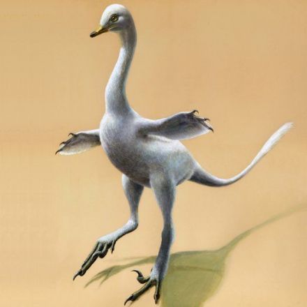 New dinosaur looks like odd mix of duck, croc, ostrich, swan