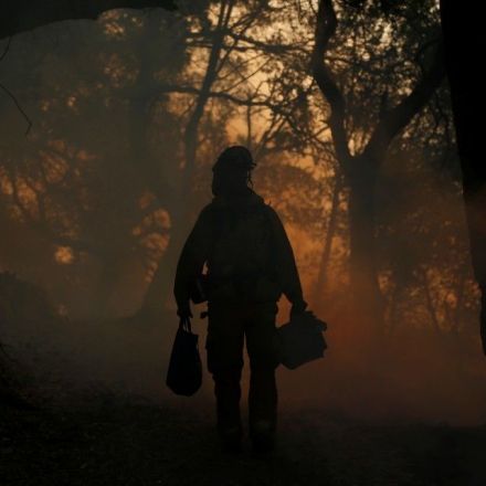 A Quiet Rise in Wildland-Firefighter Suicides