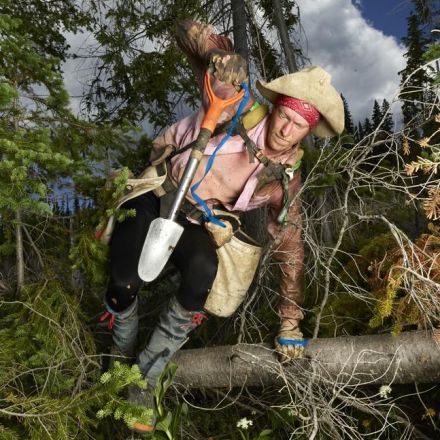 Seriously Metal Photos of Canada’s Tree Planters