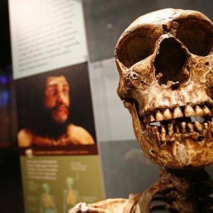 Scientists make find that could rewrite human history