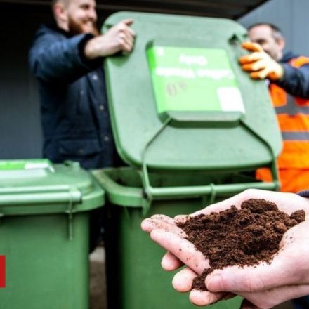 Coffee waste 'could replace palm oil'