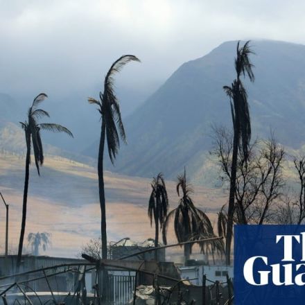 Hawaii: growing threat of ‘devastating’ fires as island landscape dries and warms