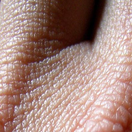 Scientists Have Figured Out Why Human Skin Doesn't Leak