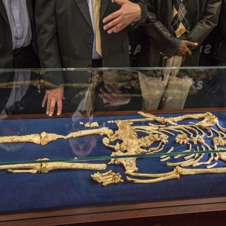 Exclusive: Controversial skeleton may be a new species of early human