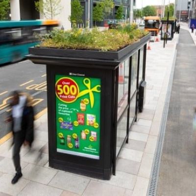 Buzz stops: bus shelter roofs turned into gardens for bees and butterflies
