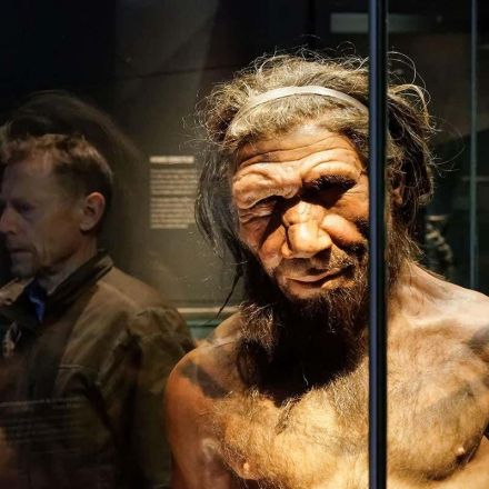 Long strand of DNA from Neanderthals found in people from Melanesia
