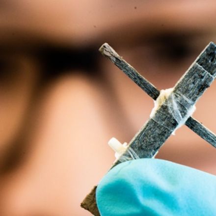 First working wooden transistor marks a step toward biodegradable tech