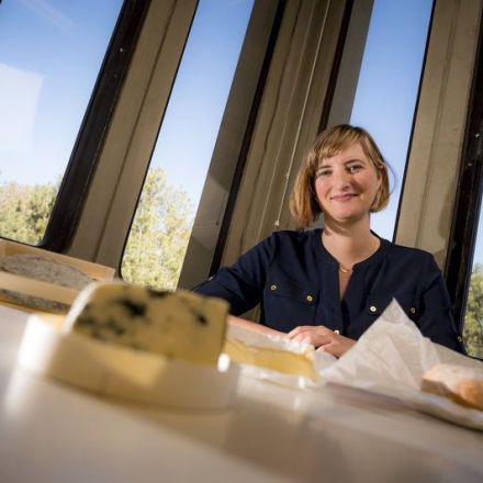 The Microbiologist Sniffing Out the World's Perfect Cheese
