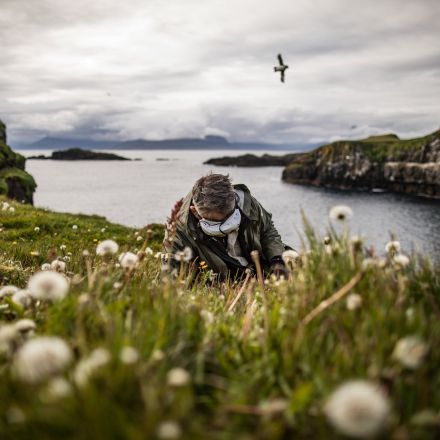 Why Are Puffins Vanishing? The Hunt for Clues Goes Deep (Into Their Burrows)