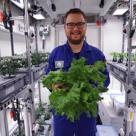Scientists harvest 1st vegetables in Antarctic greenhouse