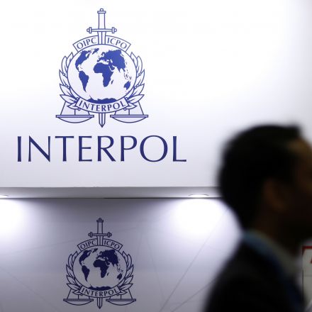 Interpol elects UAE official as president despite rights groups' concerns