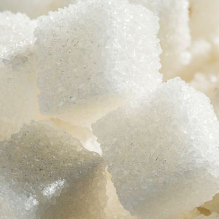 Inside the fight over the sugar conspiracy