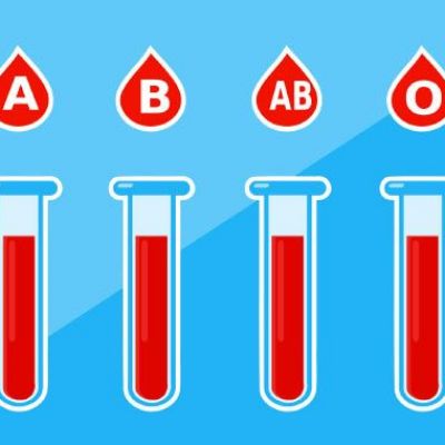 Newly Found Enzymes Can Help Turn Type A and B Blood into Universal Type O