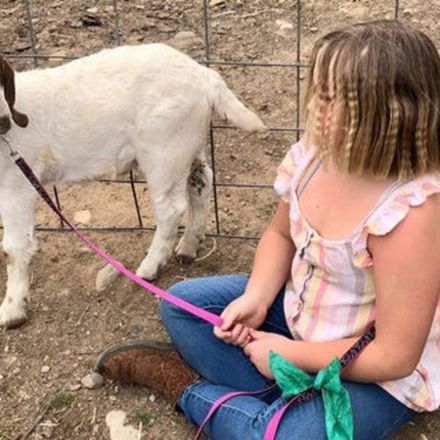 How the meat industry indoctrinates children, explained by a viral story of a girl and her goat