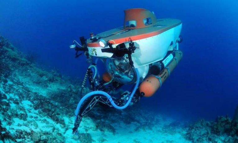 "The Curasub is a five-person submersible capable of descending to 300 m (1,000 ft.) and equipped with hydraulic robotic arms useful in collecting biological samples. Credit: Barry Brown, Substation Curacao"