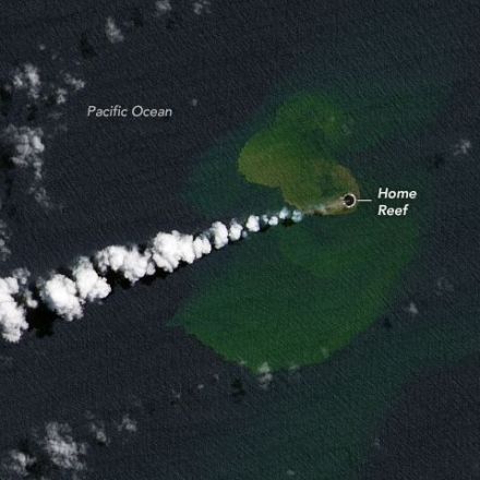 A New Baby Island Has Just Been Born In The Pacific Ocean